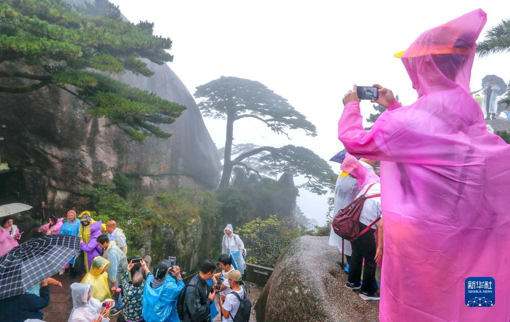 手机购彩中心登录